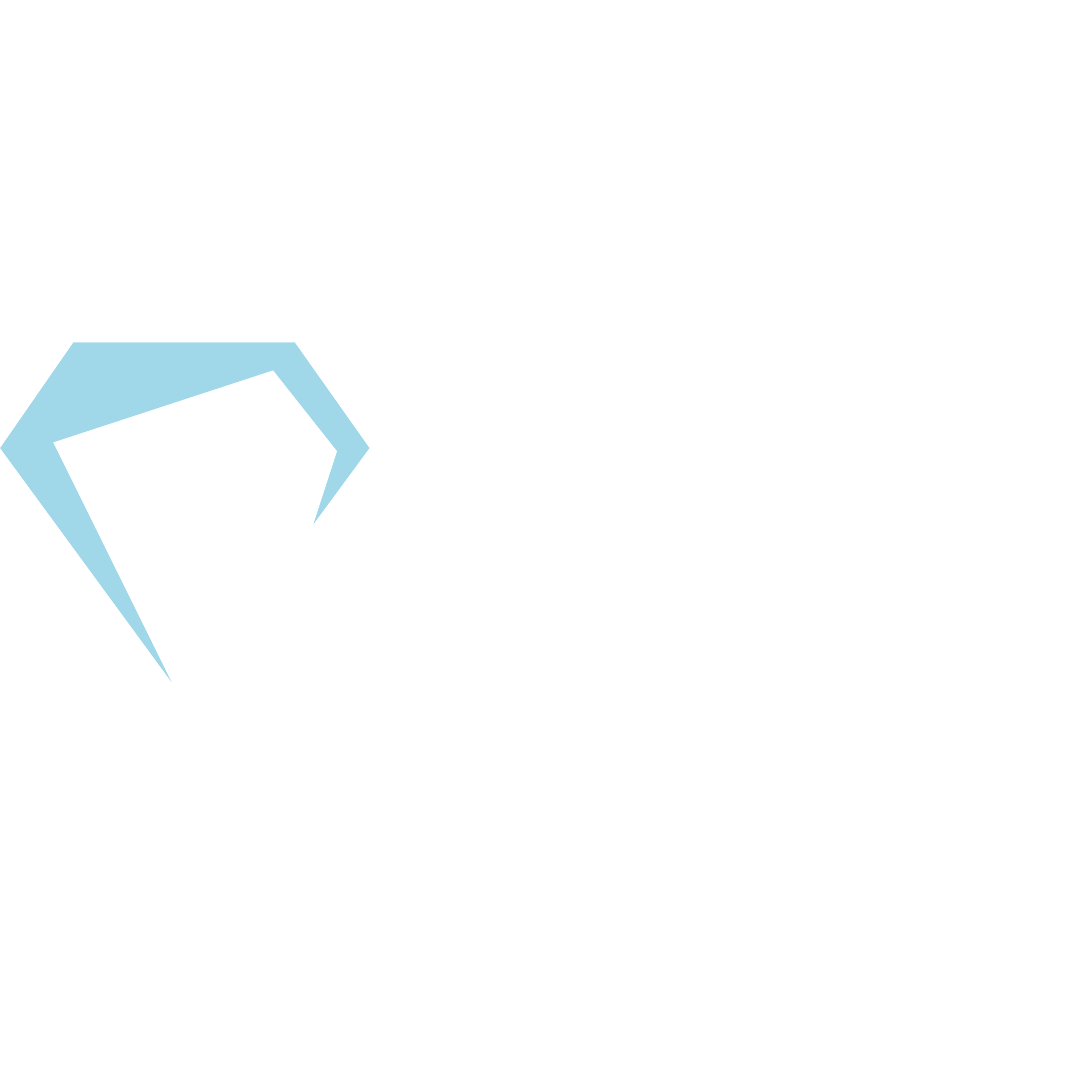 Paragon Security Solutions